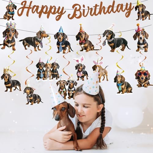 Dachshund Dog Birthday Banners Hanging Swirls Party Decor 10PCS - Image 4