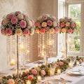 Novabright 2 Pack Tall Crystal Wedding Centerpieces with Globes, Silver by Unknown