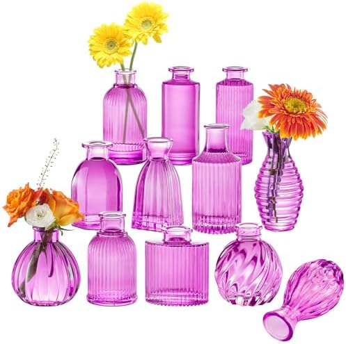 12PCS Hot Pink Vase Small Colored Flower Bud Vases by PHUNTTEK