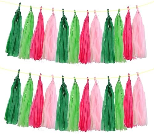 ZOOYOO Tassel Garland Tissue Paper Tassel Banner Table Decor, DIY Kits for Birthday Wedding Engagement,Witch Theme Party,Hawaiian Luau Tropical Party Decorations,Pack of 20 (Pink Green) by ZOOYOO