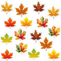 16Pcs Thanksgiving Hanging Swirl Set Party Decorations Autumn Theme Pumpkin Maple Leaf Turkey Orange Brown Red Party Supplies Sign by Unknown