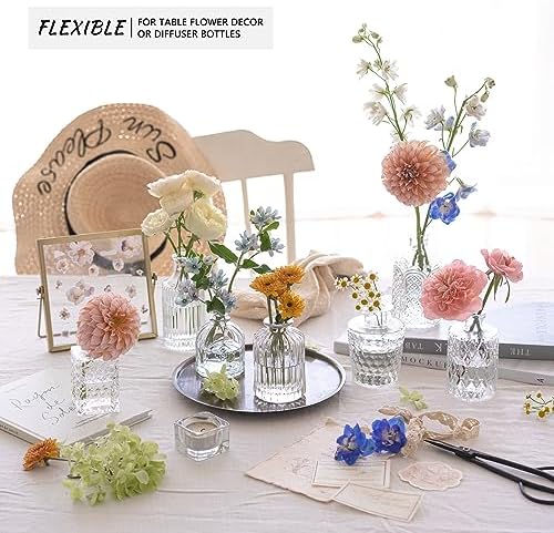 SUPMIND 12pcs Glass Bud Vase Set, Clear Small Flower Vases for Centerpieces - Image 4