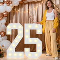 Pooqla 2.4FT Light Up Numbers for 25 Year Old Boy Girl Gifts, Marquee Numbers 2.4 Feet Tall Party Decor for Her Him, Mosaic Big Sign for 25th Birthday Decoration Backdrop, Warm White Large Number 25 by Pooqla
