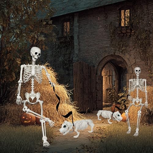 NEROSUN 5.4FT Halloween Skeletons Decoration, Posable Life Full Size Skeleton with Dog Skeleton, Realistic Plastic Human Bones for Halloween Props Haunted House Graveyard Party Decor - Image 6