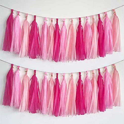 We Moment Hot Pink Light Pink Tissue Paper Tassels Party Tassel Garland Banner for Party Decorations, DIY Kits,15PCS by We+Moment