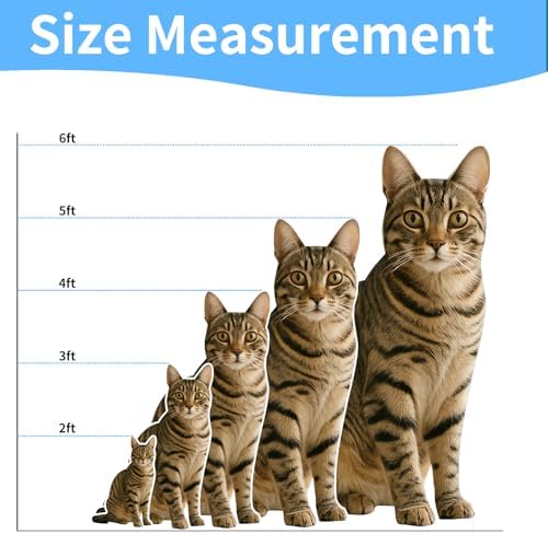 Chinese Li Hua Cat 4FT Life Size Cardboard Cutout, 1 PC - Image 2