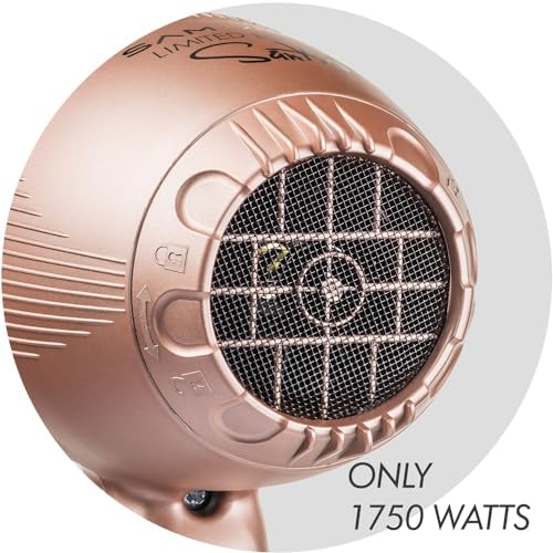 Sam Villa Professional Ionic Hair Dryer, Variable Speed & Heat - Image 4