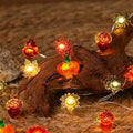Fall Decor Lights 10Ft 30 LEDs Thanksgiving Decoration Battery Operated Acorn 3D Pumpkin Maple Leaf String Lights Fall Lights for Home Autumn Garland Harvest Halloween Party Christmas by Decorateyourdreamswithligh