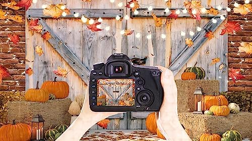 YYNXSY Fall Thanksgiving Backdrop Autumn Pumpkin Harvest 10X8FT YY-2515 - Image 3