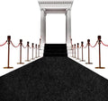 Extra Thick Black Carpet Runner 3 x 20Ft, Non-Slip TPR Rubber Backing, 450 GSM Heavy-Duty Aisle Runner Black Runner Rug for Wedding Ceremony, Hollywood Party, Graduation & Award Events by AEHISDHIE
