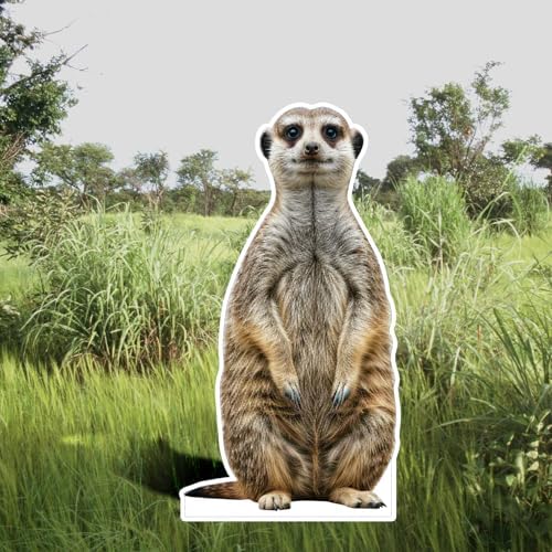 Meerkat1 Life Size Cardboard Cutout, 4FT, Party Decor, 1 PC - Image 4