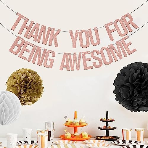Thank You for Being Awesome Banner Going Away Party Decoration - Image 3
