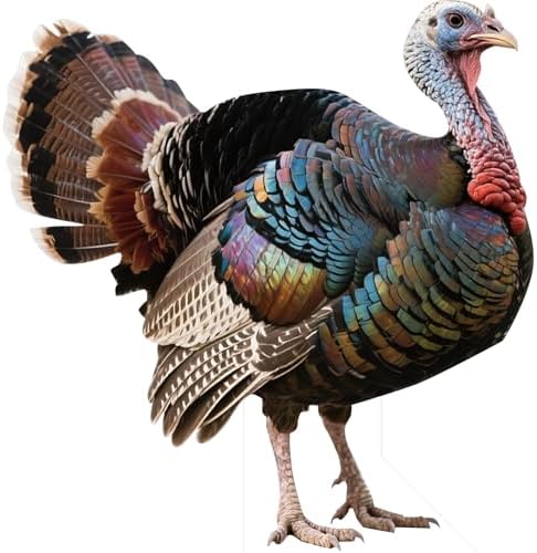 Turkey Life Size Cardboard Cutout, 5FT Photo Booths & 1PC by Unknown