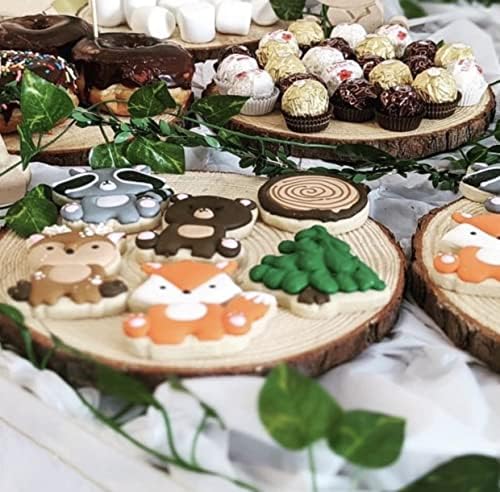 Set of 6 Medium (10-11) inch Wood Slices for centerpieces! Baby Shower centerpieces, Woodland centerpieces, Wedding centerpieces. Set of 6 Medium (10-11") - Image 5