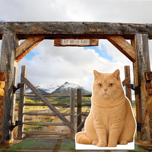 White British Shorthair Cat 3FT LifeSize Cardboard Cutout, 1 PC - Image 6