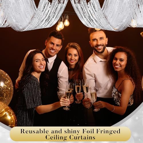 Breling 8 Pcs Silver Ceiling Fringe Curtains, Metallic Foil Drapes, 15 ft - Image 5