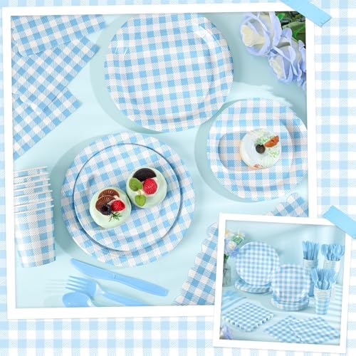 NatNarr 175 Pcs Blue Gingham Party Supplies Set For 25 Guests - Image 5