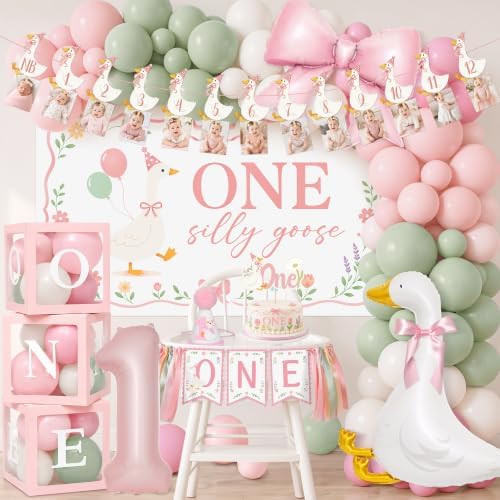 Kriyokiaa One Silly Goose Birthday Decor Girl, Goose 1st Party Kit by Kriyokiaa