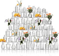 Glass Bud Vases Set of 64 - Assorted Small Mini Glass Vases for Flowers, Crystal Vintage Vase Set, Bulk Centerpieces for Table Décor, Wedding, Home and Events (Clear, 64 Pcs) by Unknown