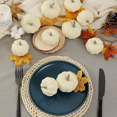 Artgar Pumpkin Decor - White Pumpkin - 10 PCS Mini Pumpkins Harvest Set - Image 4