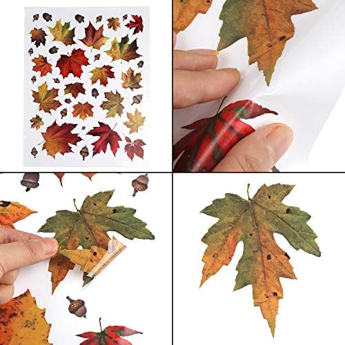 CCINEE 216pcs Maple Window Clings 6 Sheets Fall Leaves Assorted Maple Oak Leaves Acorns Window Stickers for Autumn Thanksgiving Halloween Seasonal Holiday Glass Window Decorations - Image 4