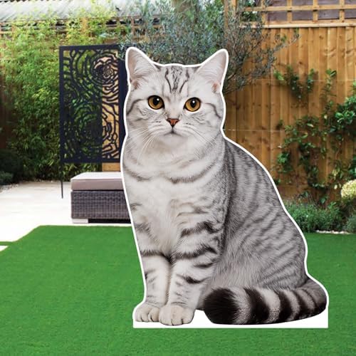 British Shorthair Silver Point 3FT Cardboard Cutout, 1PC - Image 4
