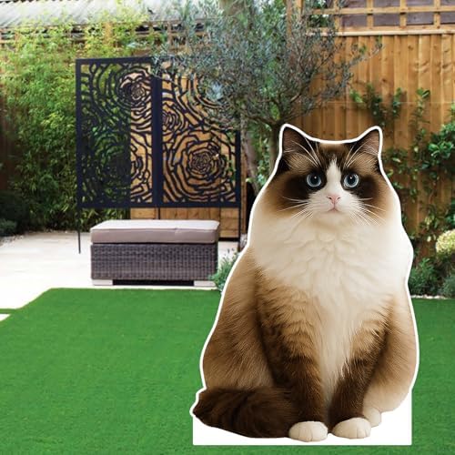 Pointed Ragdoll Cat 5FT Life Size Cardboard Cutout, 1 PC - Image 4