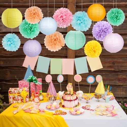 zilue Paper Lanterns and Paper Pom Poms Pastel Party Decorations 15pcs - Image 6