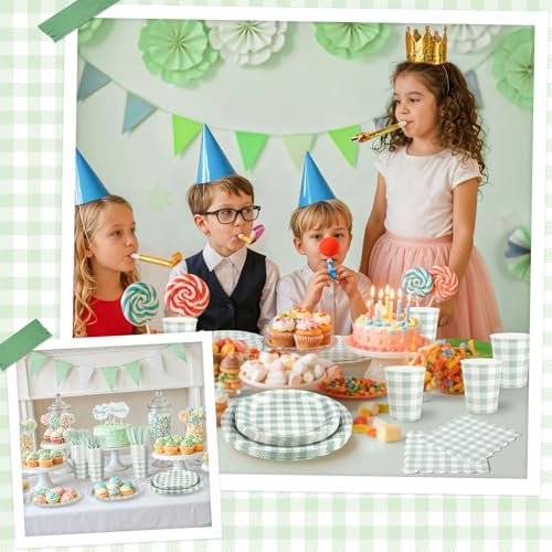 NatNarr Sage Green Gingham Party Supplies Set, 175 Pcs, Serves 25 - Image 6