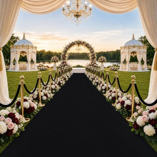 Black Carpet Runner Rug for Party and Event, Non-Slip TPR Rubber Backed Aisle Runway red Rug for Step, Proposal & Wedding Christmas Thanksgiving Decorations, Runway Rug for Prom(3 x 10ft, 450 GSM) by Unknown