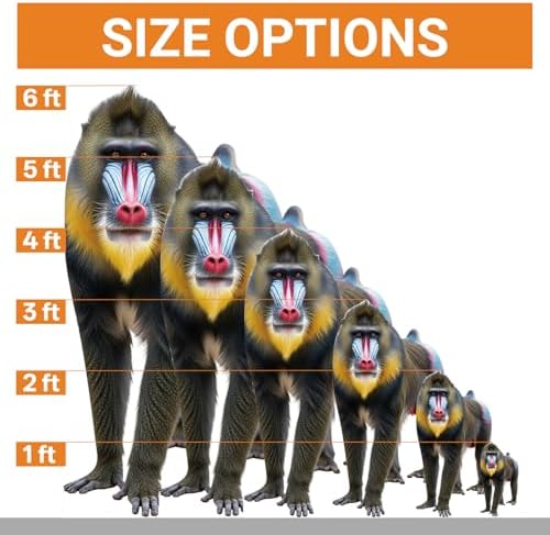 Mandrill 6FT Life Size Cardboard Cutout, Animal Standup, 1 PC - Image 3