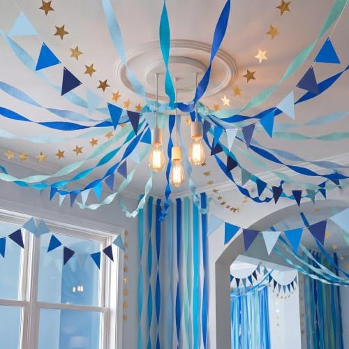 Frienda 14 Pcs Blue Party Decorations Set for Fancy Birthday Party by Frienda