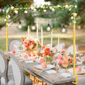 Antizz Over The Table Rod Stand with Clamps for Party Decoration Gold by Antizz