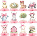 12 Pcs Pink Farm Baby Shower Decorations for Girl - Girl Farm Baby Shower Centerpieces for Tables - Pink Farm Animals Honeycomb Table Decor with Barn Cow Pig for Girl Baby Shower 1st Birthday by Unknown