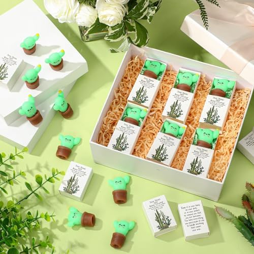 12 Sets Believe in Yourself Gifts Cactus Growing Party Favors - Image 5