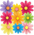 Rainbow Paper Fans Paper Lanterns Party Paper Flowers for Wall 8-14inch by SUNBEAUTY