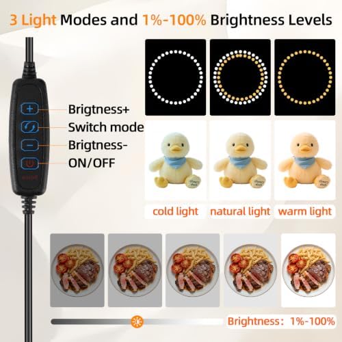 Light Box with Tripod, 16/20/24/32/47 Inch Lightbox with CRI>95 120 White Warm LED Light Beads. Portable Photo Light Box with 6 Colors PVC Backdrops. Dimmable Shooting Tent Kit for Studio Photography - Image 2