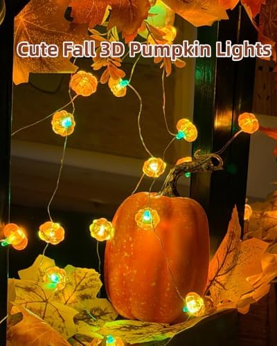 Pumpkin String Lights 10Ft 30 LEDs Halloween Decorations Battery Operated Orange Lights for Halloween Party Indoor Fall Decor Thanksgiving Decorations - Image 5
