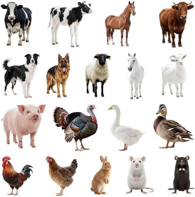 Hen 5FT Life Size Cardboard Cutout, Farm Animal Cutouts - Image 6