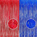 BRAVESHINE Red Blue Tinsel Foil Fringe Curtains | Party Steamers Backdrop by BRAVESHINE