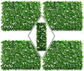 DOEWORKS Expandable Faux Ivy Trellis Fence, Patio Privacy Screen, 4 Pack by DOEWORKS