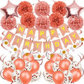 Birthday Decoration, Happy Birthday Banner, Tissue Paper Pom Poms, Hanging Paper Fan Set and Balloons for All Birthday Party Decorations, Rose Gold by Recosis