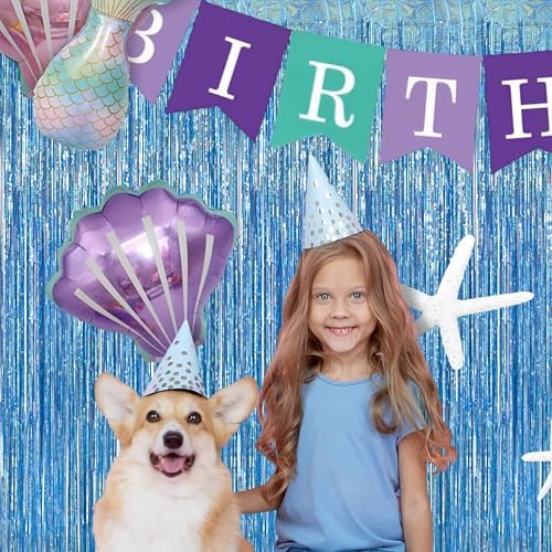 BRAVESHINE Light Blue Streamers Party Backdrop - 2 PCS Foil Fringe Curtains - Image 6