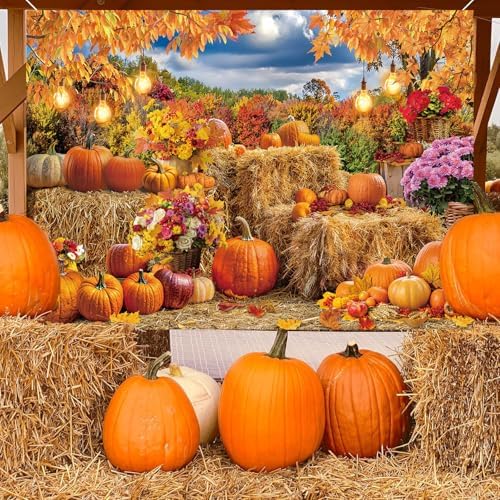 Autumn Pumpkin Backdrop Fall Hay Bale Farm Harvest Photography Background - Image 5