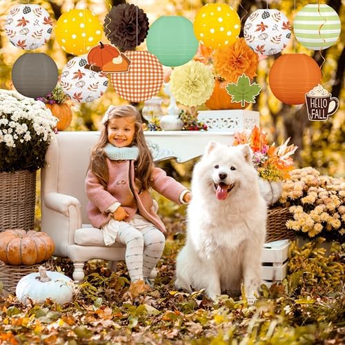 16Pcs Fall Thanksgiving Decorations Paper Lanterns Set - Image 2