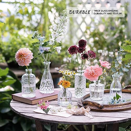 SUPMIND 12pcs Glass Bud Vase Set, Clear Small Flower Vases for Centerpieces - Image 2