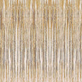 2 Pcs 3.2ft x 8.2ft Champagne Gold Metallic Tinsel Foil Fringe Curtains Photo Booth Backdrop for Baby Shower Birthday Wedding Holiday Celebration Bachelorette Party Decorations by i-CHONY