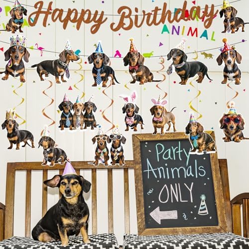 Dachshund Dog Birthday Banners Hanging Swirls Party Decor 10PCS - Image 5