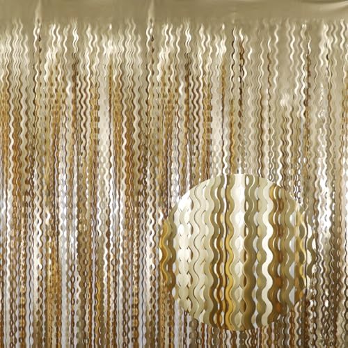 GOER Metallic Tinsel Foil Fringe Curtains Party Photo Backdrop Party Streamers for Birthday,Graduation,New Year Eve Decorations Wedding Decor (Champagne Gold,2 Packs) by GOER