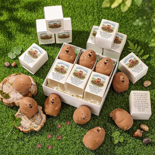 12 Sets Positive Gifts Groundhog Figurine with Support Boxes - Image 5